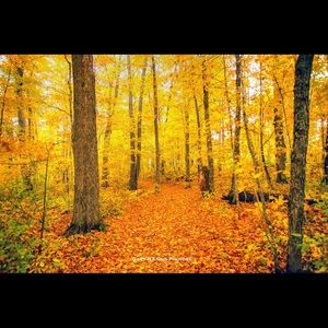 Meet your Posher, W m